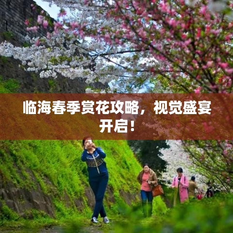 臨海春季賞花攻略，視覺盛宴開啟！