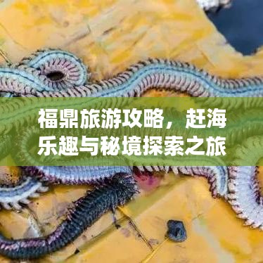 福鼎旅游攻略，趕海樂趣與秘境探索之旅！