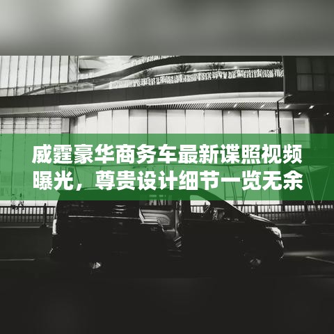 威霆豪華商務(wù)車最新諜照視頻曝光，尊貴設(shè)計(jì)細(xì)節(jié)一覽無余