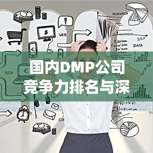 國內(nèi)DMP公司競爭力排名與深度行業(yè)洞察