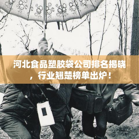 河北食品塑膠袋公司排名揭曉，行業(yè)翹楚榜單出爐！