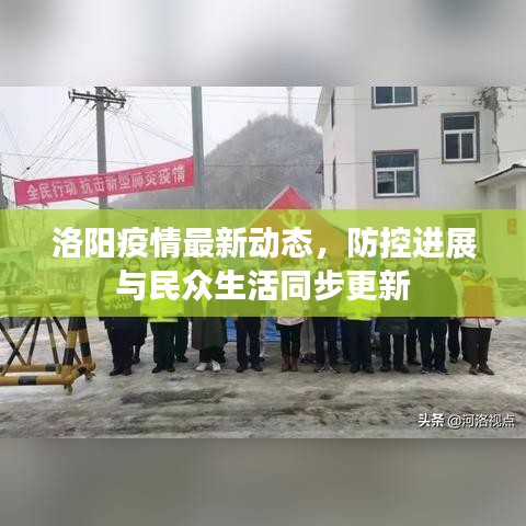 洛陽疫情最新動態(tài)，防控進展與民眾生活同步更新