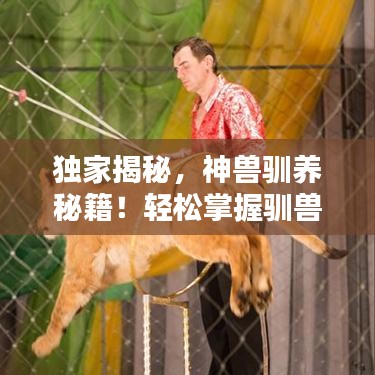 獨家揭秘，神獸馴養(yǎng)秘籍！輕松掌握馴獸技巧，成為頂尖馴獸師！