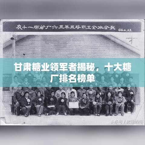 甘肅糖業(yè)領軍者揭秘，十大糖廠排名榜單