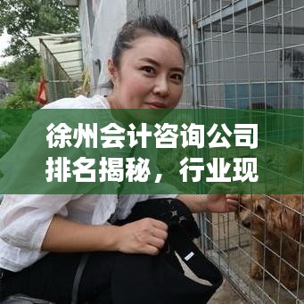 徐州會計咨詢公司排名揭秘，行業(yè)現(xiàn)狀及未來趨勢分析
