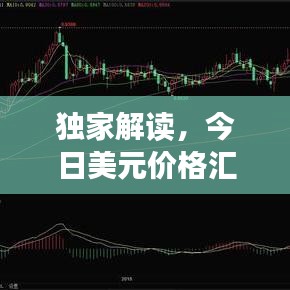 獨(dú)家解讀，今日美元價(jià)格匯率走勢(shì)分析，影響及未來(lái)預(yù)測(cè)
