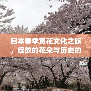 日本春季賞花文化之旅，綻放的花朵與歷史的盛宴