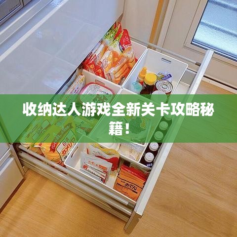 收納達(dá)人游戲全新關(guān)卡攻略秘籍！