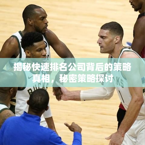揭秘快速排名公司背后的策略真相，秘密策略探討
