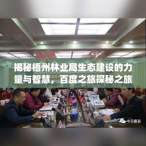揭秘梧州林業(yè)局生態(tài)建設(shè)的力量與智慧，百度之旅探秘之旅