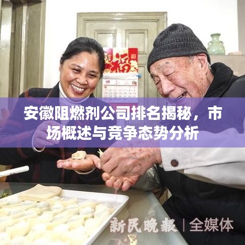 安徽阻燃劑公司排名揭秘，市場概述與競爭態(tài)勢分析