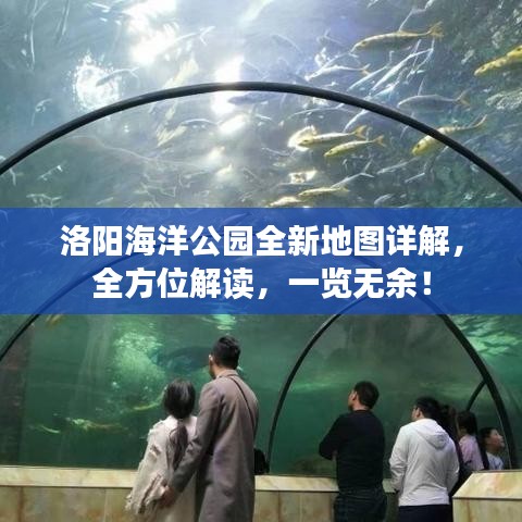 洛陽海洋公園全新地圖詳解，全方位解讀，一覽無余！