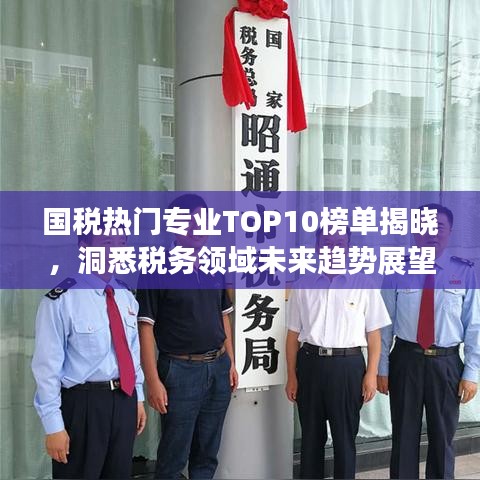 國稅熱門專業(yè)TOP10榜單揭曉，洞悉稅務領域未來趨勢展望