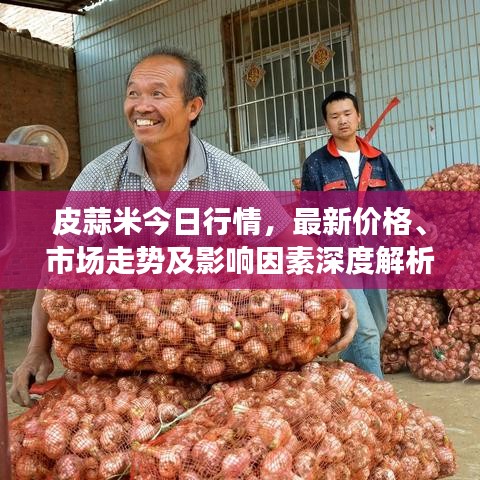 皮蒜米今日行情，最新價(jià)格、市場(chǎng)走勢(shì)及影響因素深度解析