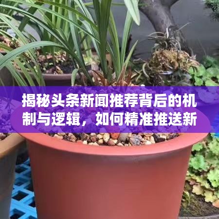 揭秘頭條新聞推薦背后的機(jī)制與邏輯，如何精準(zhǔn)推送新聞？