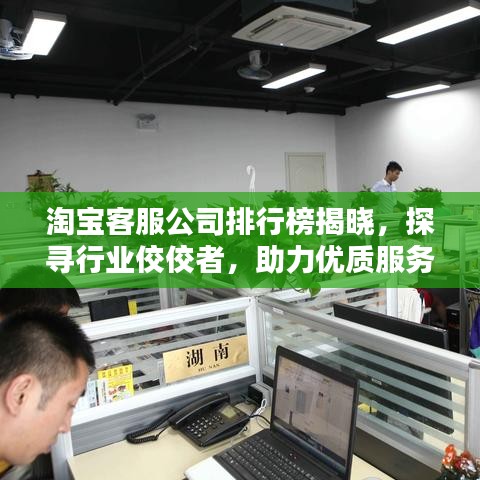 淘寶客服公司排行榜揭曉，探尋行業(yè)佼佼者，助力優(yōu)質(zhì)服務(wù)之選