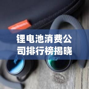 鋰電池消費(fèi)公司排行榜揭曉，行業(yè)巨頭及未來趨勢(shì)展望