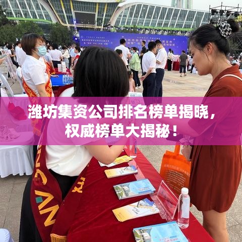 濰坊集資公司排名榜單揭曉，權威榜單大揭秘！