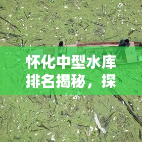 懷化中型水庫排名揭秘，探秘十大水利工程的壯麗風(fēng)采