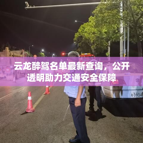 云龍醉駕名單最新查詢，公開透明助力交通安全保障