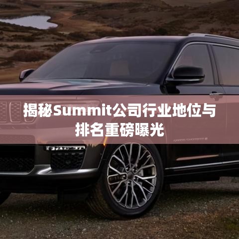 揭秘Summit公司行業(yè)地位與排名重磅曝光