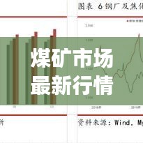 煤礦市場(chǎng)最新行情概覽，走勢(shì)分析、展望未來發(fā)展前景