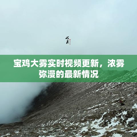 鳥語花香 第2頁