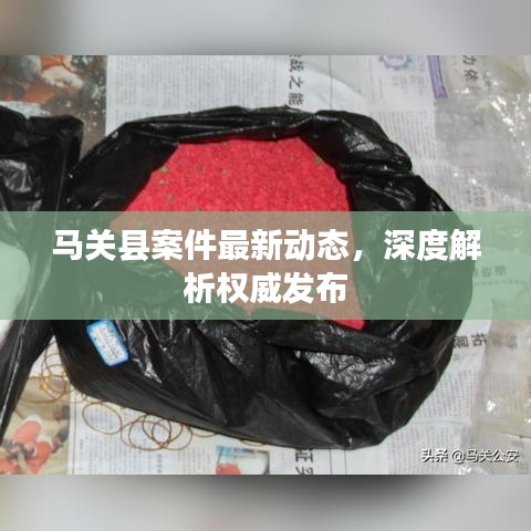 馬關(guān)縣案件最新動態(tài)，深度解析權(quán)威發(fā)布