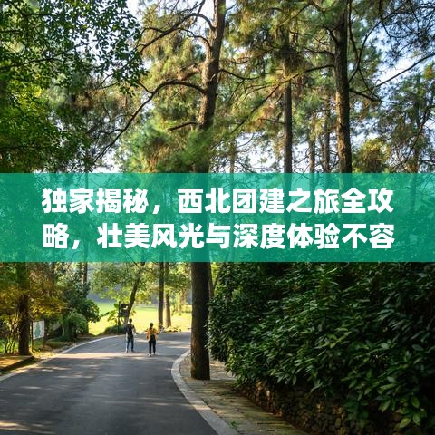 獨家揭秘，西北團建之旅全攻略，壯美風光與深度體驗不容錯過！