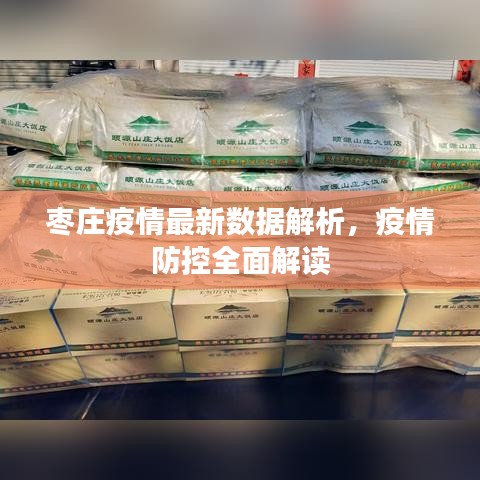 棗莊疫情最新數(shù)據(jù)解析，疫情防控全面解讀