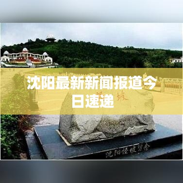 沈陽最新新聞報(bào)道今日速遞