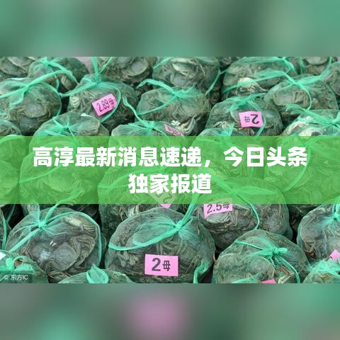 高淳最新消息速遞，今日頭條獨(dú)家報道