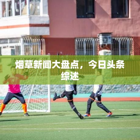 煙草新聞大盤點(diǎn)，今日頭條綜述