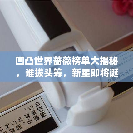 凹凸世界薔薇榜單大揭秘，誰(shuí)拔頭籌，新星即將誕生！