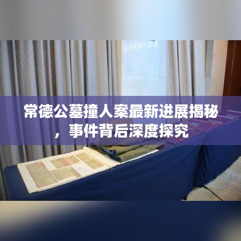 常德公墓撞人案最新進(jìn)展揭秘，事件背后深度探究