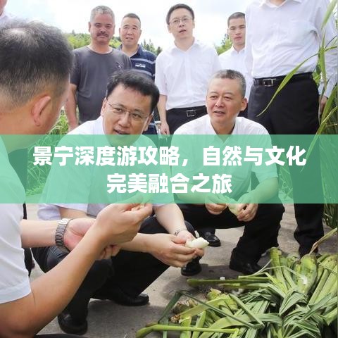 景寧深度游攻略，自然與文化完美融合之旅