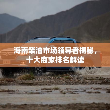 海南柴油市場領導者揭秘，十大商家排名解讀