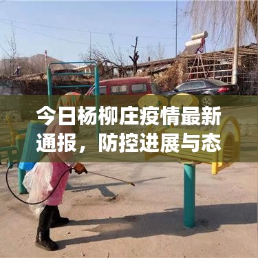今日楊柳莊疫情最新通報，防控進展與態(tài)勢分析
