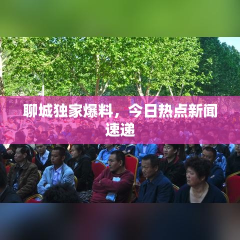 聊城獨家爆料，今日熱點新聞速遞