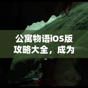 公寓物語iOS版攻略大全，成為頂尖玩家的終極指南！