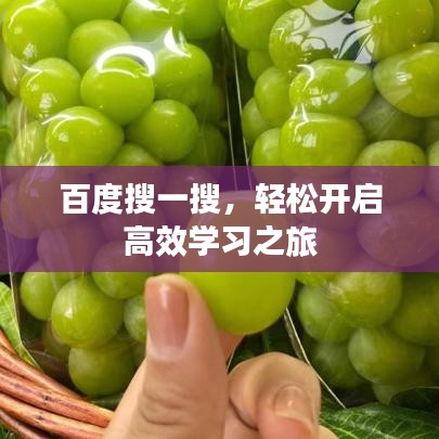 百度搜一搜，輕松開啟高效學習之旅