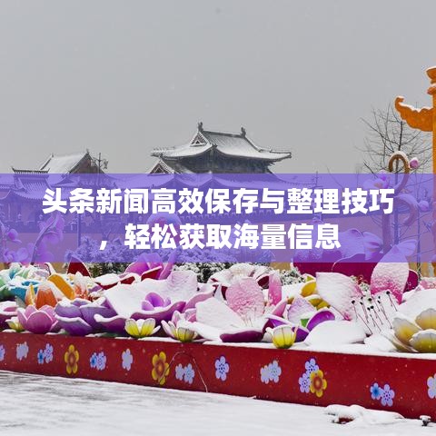 頭條新聞高效保存與整理技巧，輕松獲取海量信息