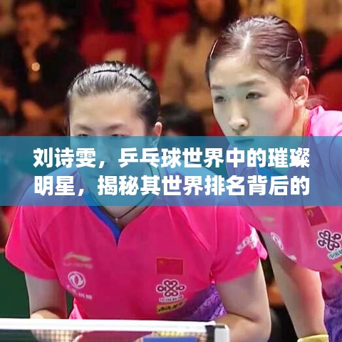 劉詩雯，乒乓球世界中的璀璨明星，揭秘其世界排名背后的故事