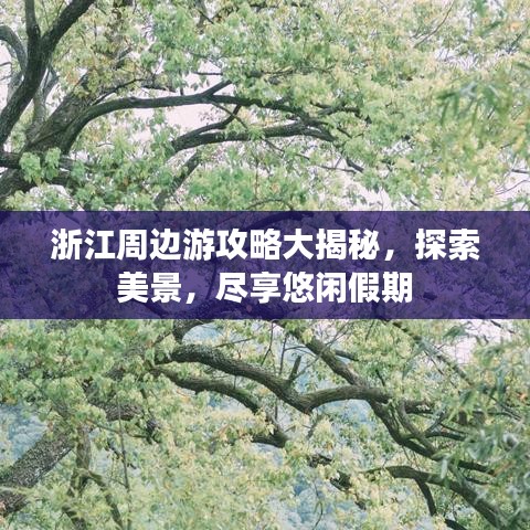 浙江周邊游攻略大揭秘，探索美景，盡享悠閑假期