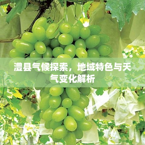 澧縣氣候探索，地域特色與天氣變化解析