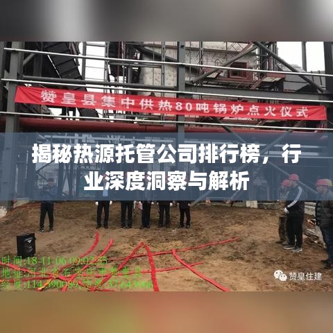 揭秘?zé)嵩赐泄芄九判邪?，行業(yè)深度洞察與解析