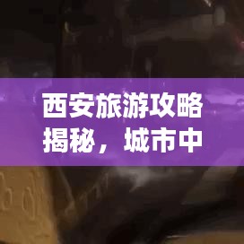 西安旅游攻略揭秘，城市中的看海探秘之旅