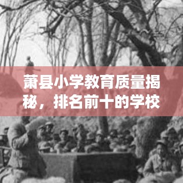 蕭縣小學(xué)教育質(zhì)量揭秘，排名前十的學(xué)校有哪些過(guò)人之處？