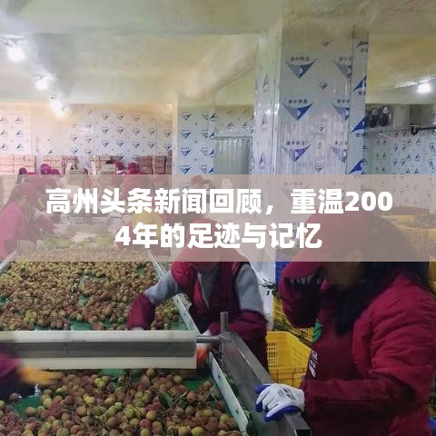 高州頭條新聞回顧，重溫2004年的足跡與記憶