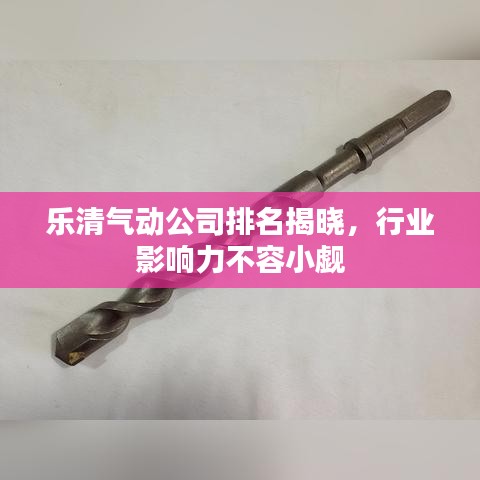 樂清氣動(dòng)公司排名揭曉，行業(yè)影響力不容小覷
